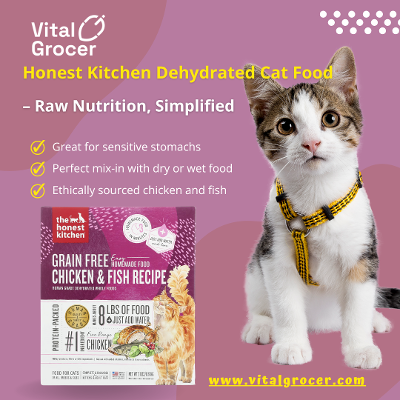 Grain Free Cat Food: Benefits, Ingredients, and Top Brands